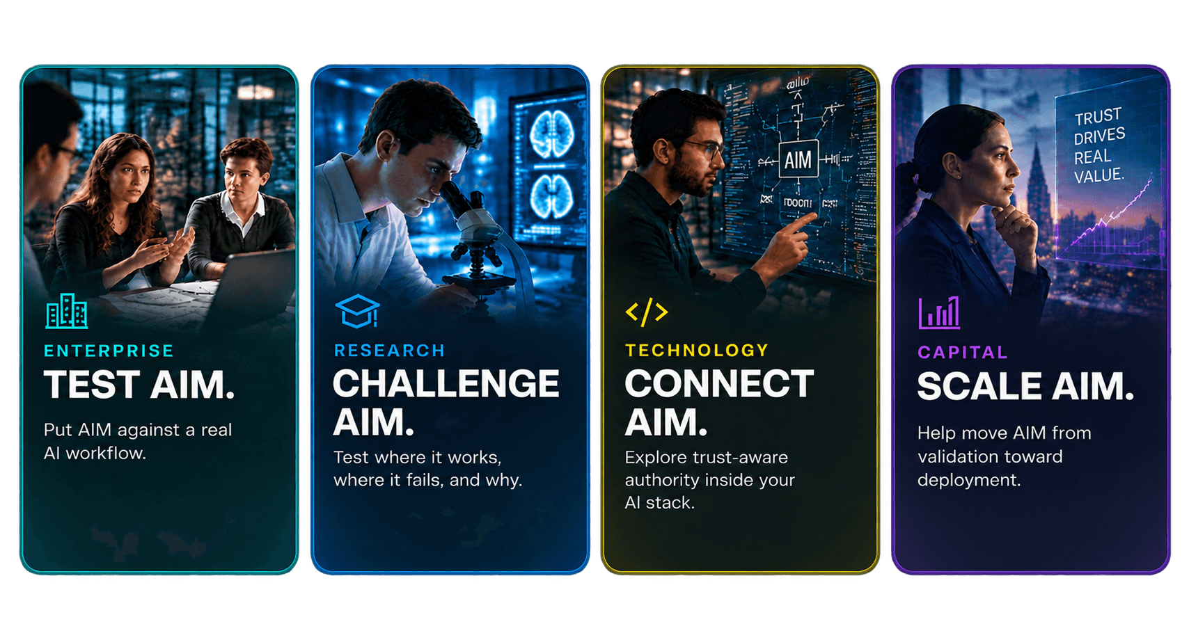 Enterprise: Test AIM. Research: Challenge AIM. Technology: Connect AIM. Capital: Scale AIM.